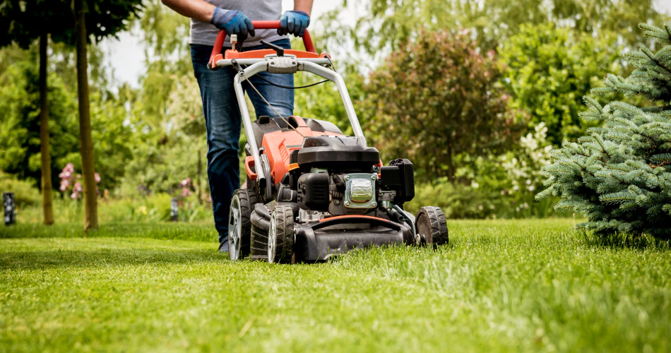 Landscape Maintenance