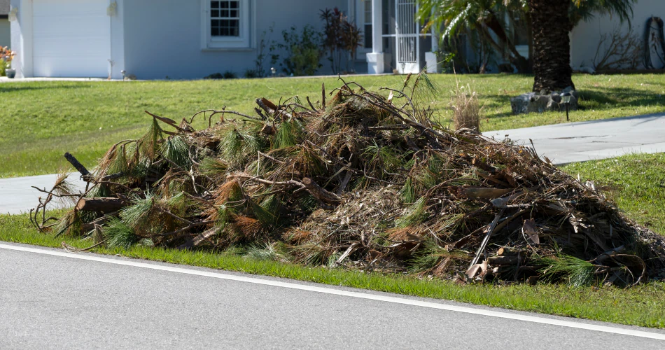 Yard Waste & Cleanup